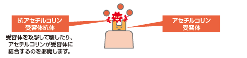 02-02[1].gif