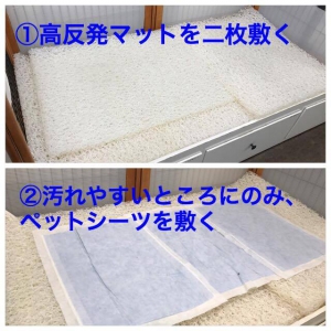 kaigomat3.jpg