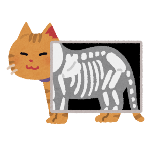 pet_xray_cat.png