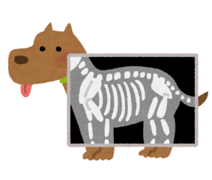 pet_xray_dog.png