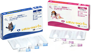 top_package[1].jpg