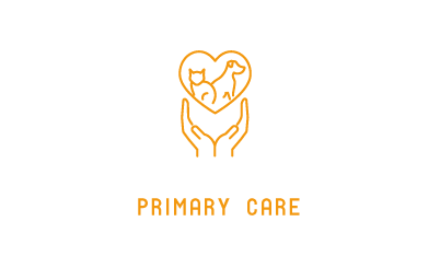 primary care