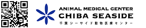 千葉動物医療センター