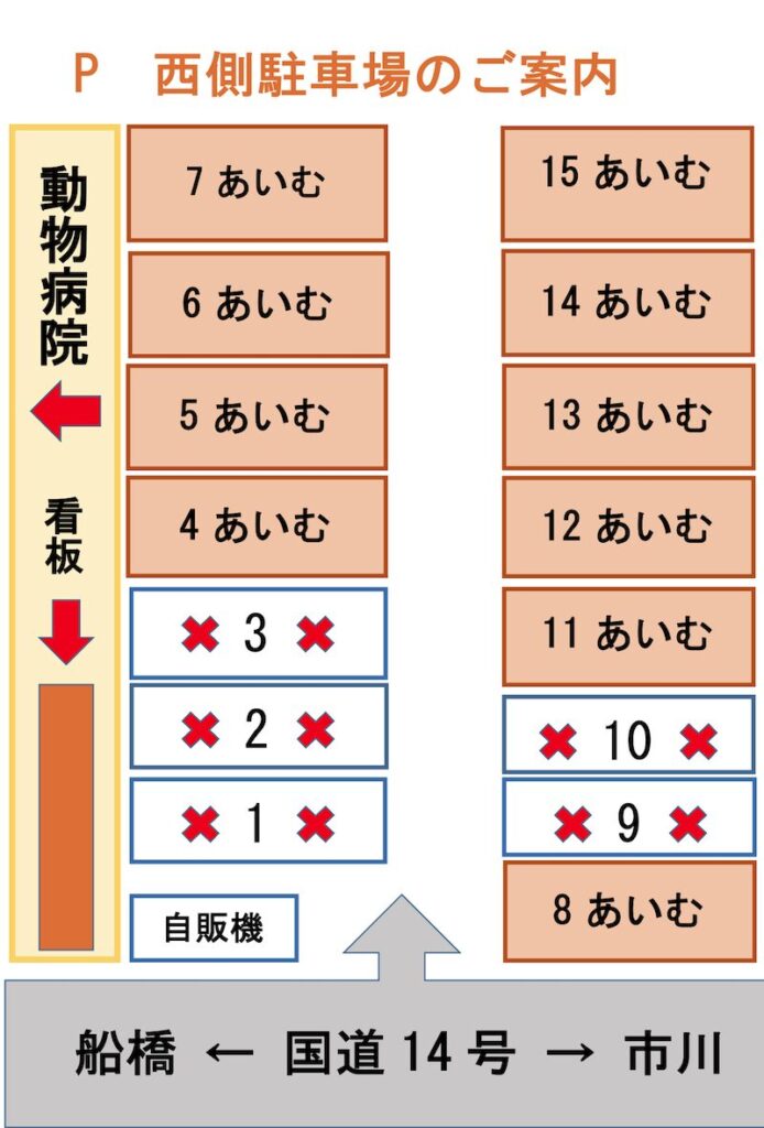 あいむ動物病院西船橋、無料駐車場